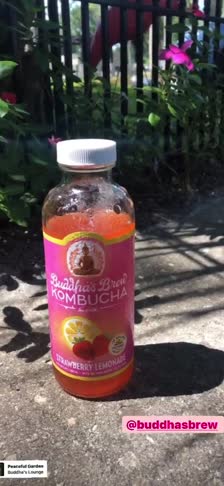 kanvas-8518a1ff-4c7d-4d5f-b8fb-15507a32d454